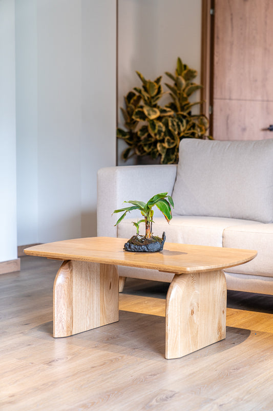 Mesa de centro Alicia